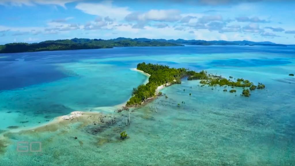 La delle Isole Salomone