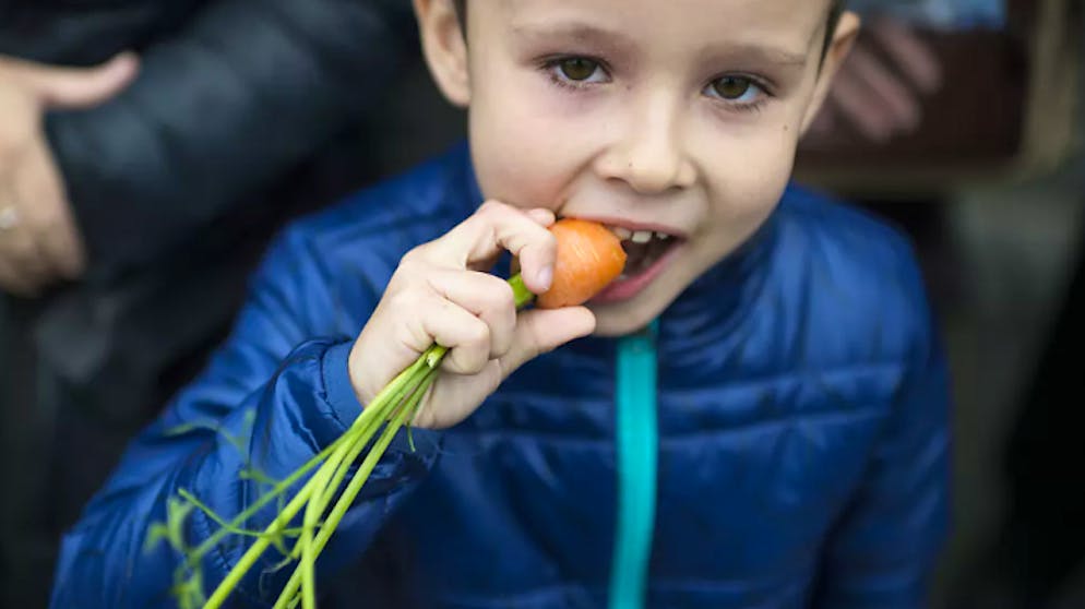 Damit Du Gross Und Stark Wirst So Essen Kinder Gesunder