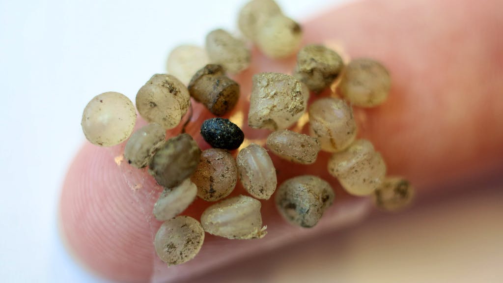 Kleinste Partikel. So viel Mikroplastik nimmt unser Körper jede Woche auf