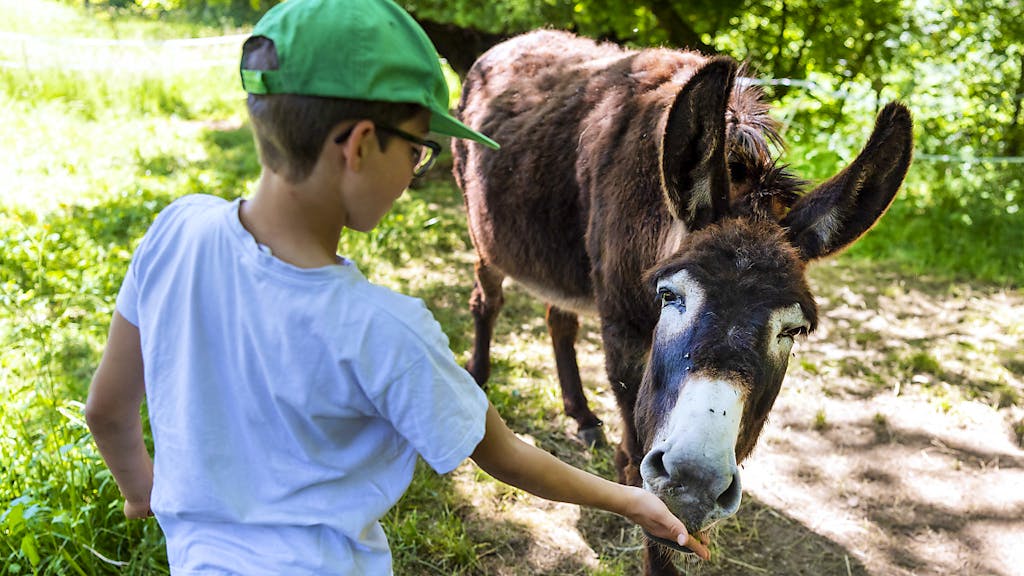 Succès pour les portes ouvertes à la ferme