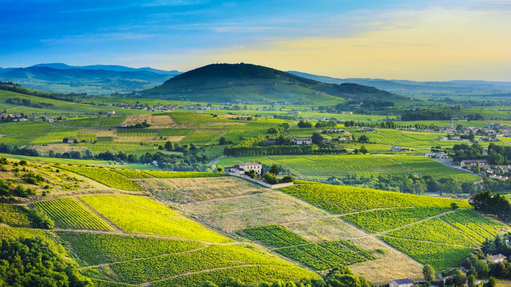 Voyage. De Dijon à Marseille, une «Vallée de la Gastronomie» pour attirer plus de touristes