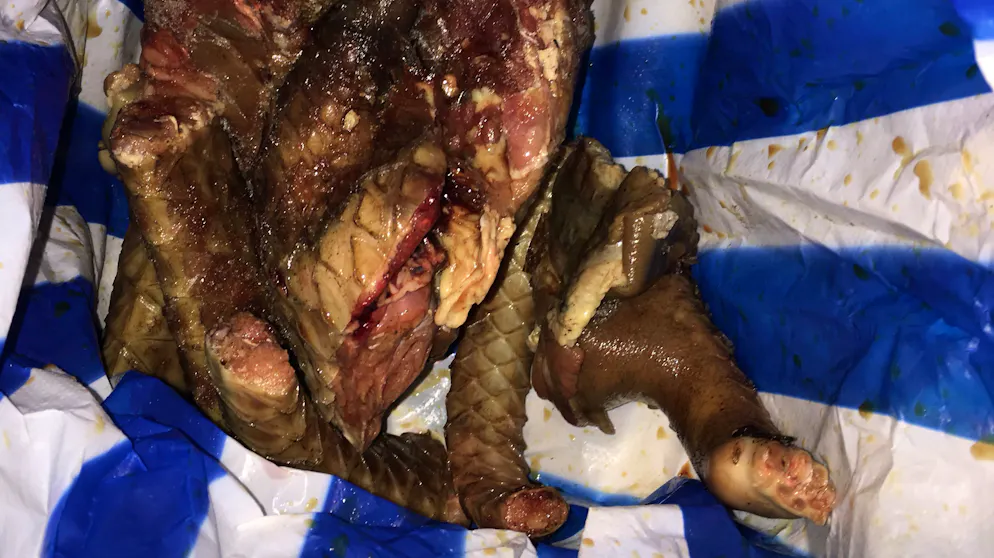 Das aus Kamerun in die Schweiz eingeführte Paket.