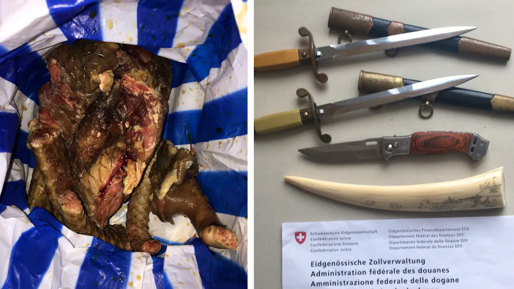 Fälle der Eidgenössischen Zollverwaltung. Das wird über die Schweizer Grenze geschmuggelt