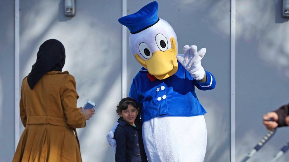 Zahlen, Fakten, Kuriositäten: Was du noch nicht über Donald Duck wusstest. Ächz! Stöhn! Würg! Wie den Rock'n'Roll ächteten Pädagogen und Psychologen in den 50er-Jahren auch die Comics mit Donald und Co. als mögliche Ursache für die grassierende Jugendverwahrlosung und den Verfall von Stitte und Moral.