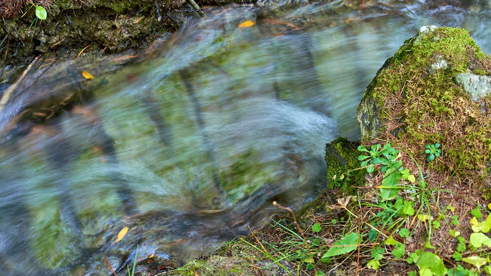Wasserschloss Schweiz – alles im Fluss. Immer dabei: das fröhliche Gurgeln des Wassers.