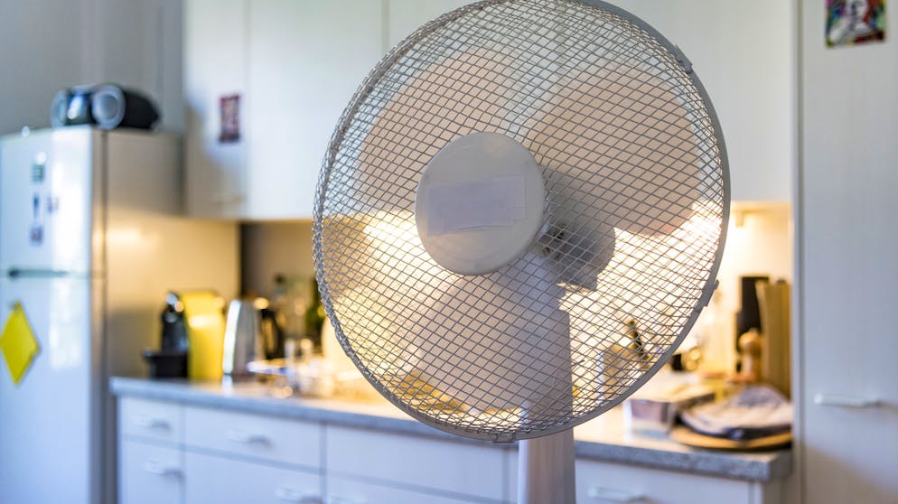 Zehn Tipps, wie Sie die Umwelt schonen können. Ventilatoren sind zwar sparsamer als Klimaanlagen, brauchen aber trotzdem Strom. Wenn Sie einen verwenden, am besten nachts und nur kurze Zeit, um einen guten Durchzug in der Wohnung zu erzeugen.