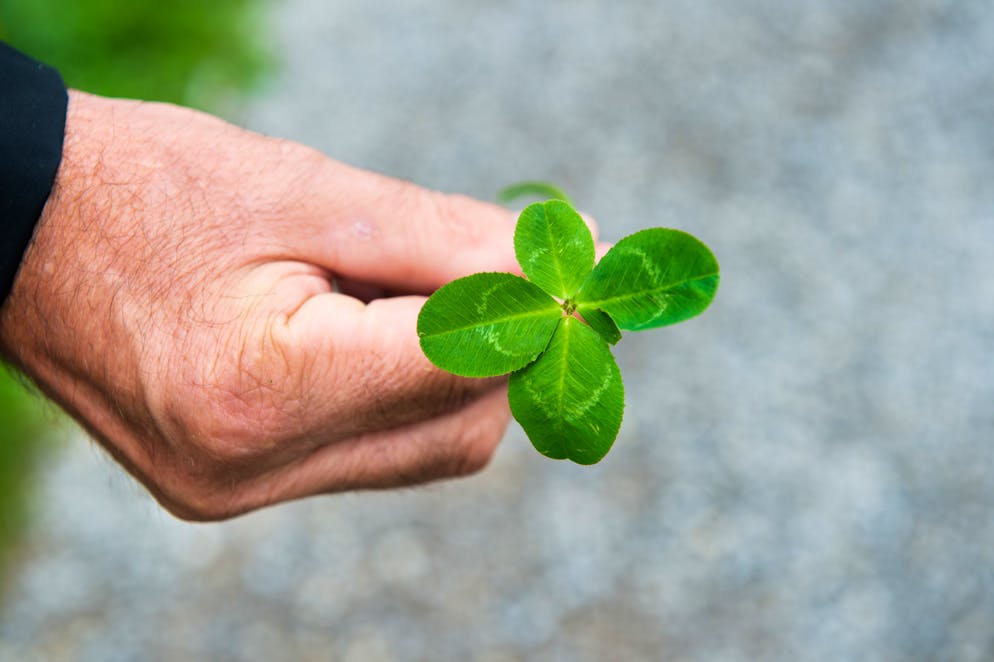 Markus Ritter auf dem Klangweg. «Dieser vierblättrige Klee vom Wegrand bringt mir bestimmt Glück im Wahlkampf», grinst Ritter.