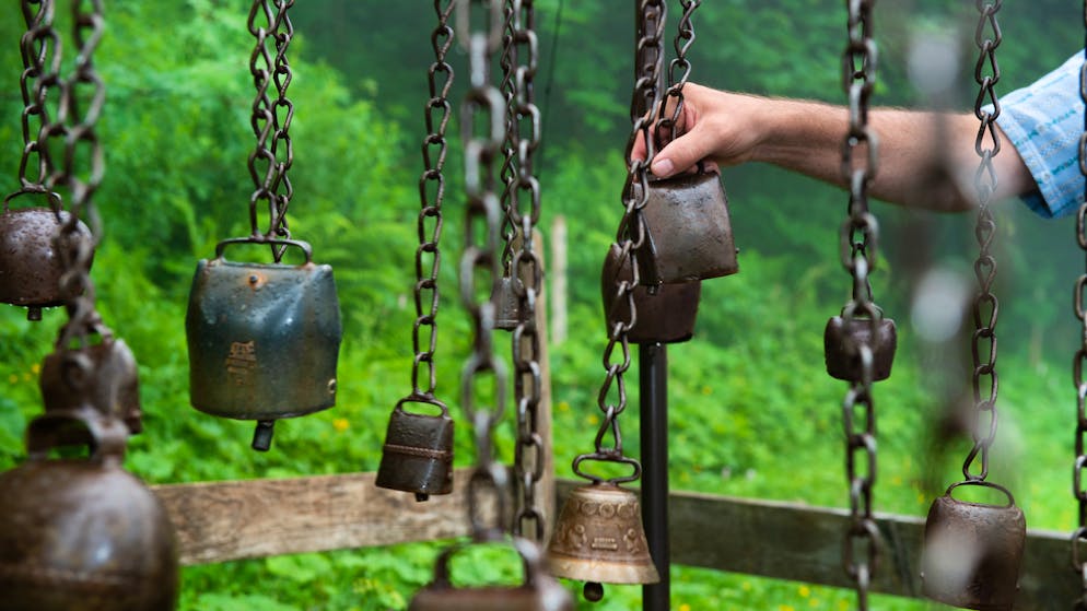 Markus Ritter auf dem Klangweg. <em>«Jeder Bauer überlegt sich genau, warum er welcher Kuh welche Glocke umhängt», sagt Ritter.</em>