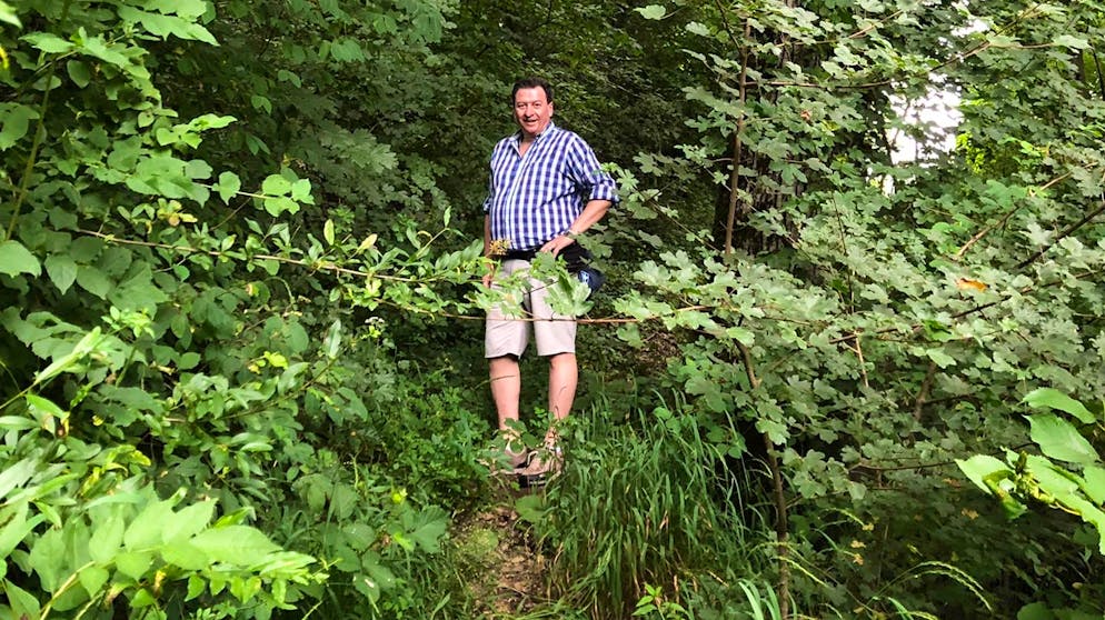 Kurzzeitig landet Nationalrat Corrado Pardini auf der Wanderung auf einem immer kleiner werdenden Trampelpfad.