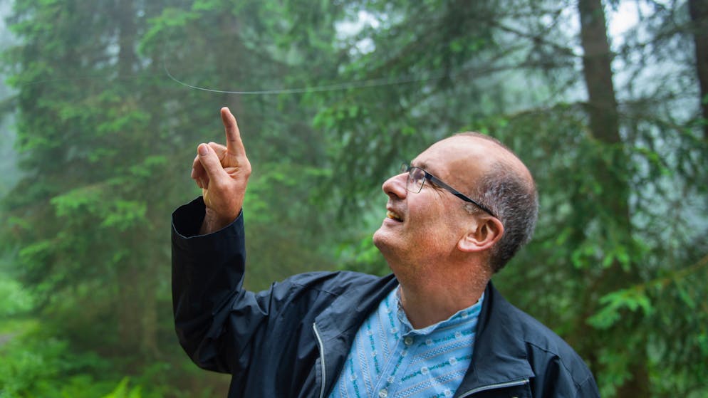 Ein Spinnenfaden spannt sich quer über den Weg. Ritter bleibt fasziniert stehen.
