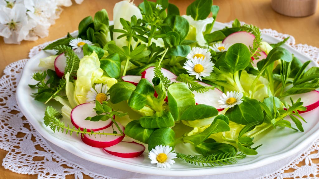 Schmackhaft und gesund. Unkraut gehört auf den Tisch – nicht in den Abfall