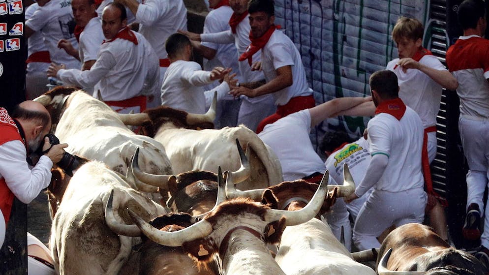 Pamplona 2019 – Stiere jagen Menschen. Literat Ernest hemingway hat seinen Roman «Fiesta» der Stierhatz von Pamplona gewidmet.