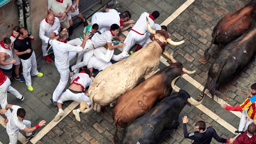 Pamplona 2019 – Stiere jagen Menschen. Wer derlei Bilder sieht, weiss, was die Stunde geschlagen hat: In Pamplona steigt einmal wieder die Sanfermines mit ihrem Encierro. Die baskischen Wörter stehen für das Fest des Heiligen Firmin und ...