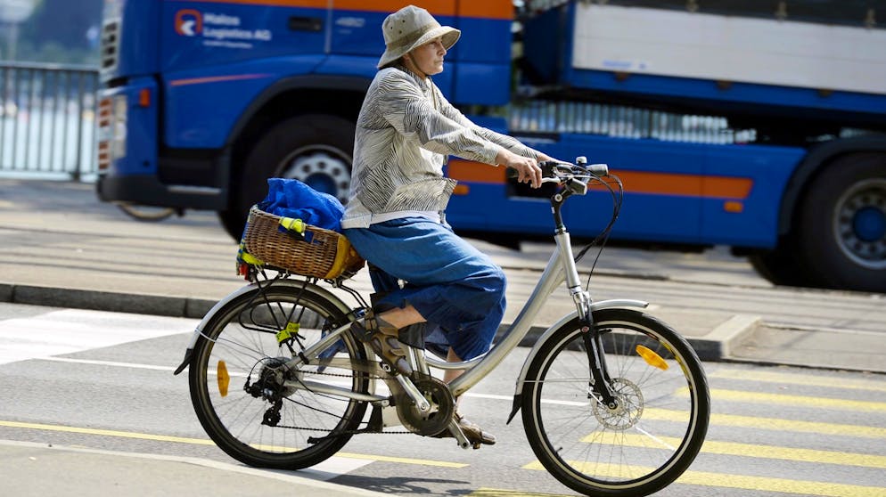 Mit schnellen E-Bikes erreicht man schnell eine Geschwindkeit von 45 Stundenkilometern. 