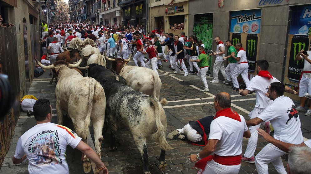 Pamplona 2019 – Stiere jagen Menschen. Durch diese hohle Gasse muss er kommen: Huftiere bahnen sich ihren Weg durch die Zuschauermenge.