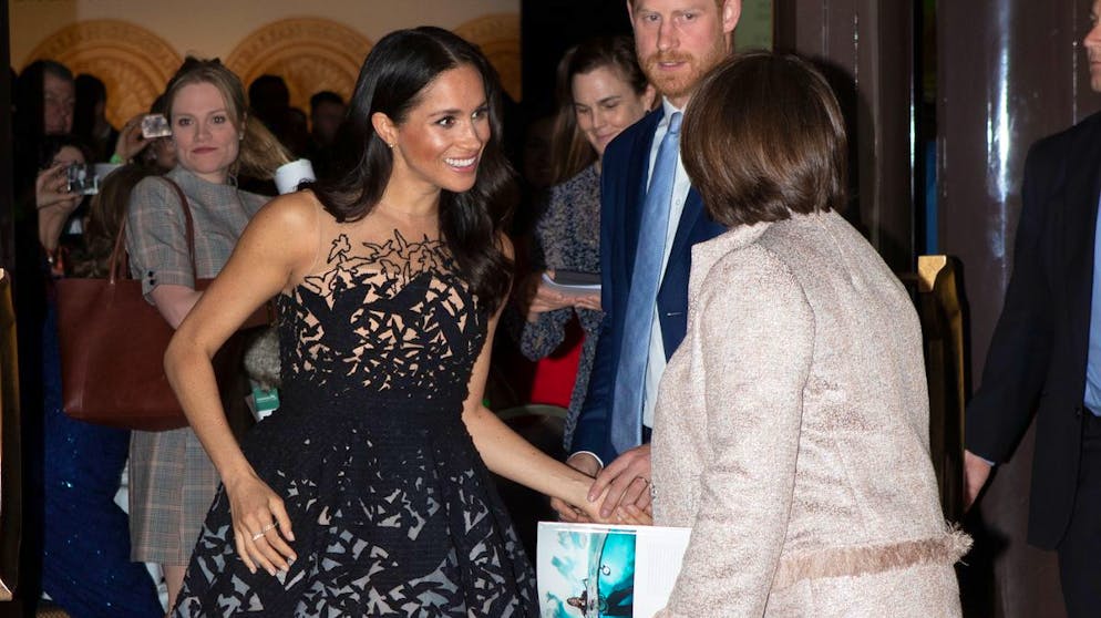 Herzogin Meghan: Ihre teuersten Looks. Warum nicht wie eine Prinzessin aussehen, wenn man schon mit einem Prinzen verheiratet ist? Das dachte sich Herzogin Meghan wohl, bevor sie in der Oscar-de-la-Renta-Kleid schlüpfte, in dem sie im Oktober 2018 die Australian Geographic Society Awards in Sydney besuche. 12'500 Franken kostete das Prinzessinnenkleid etwa.