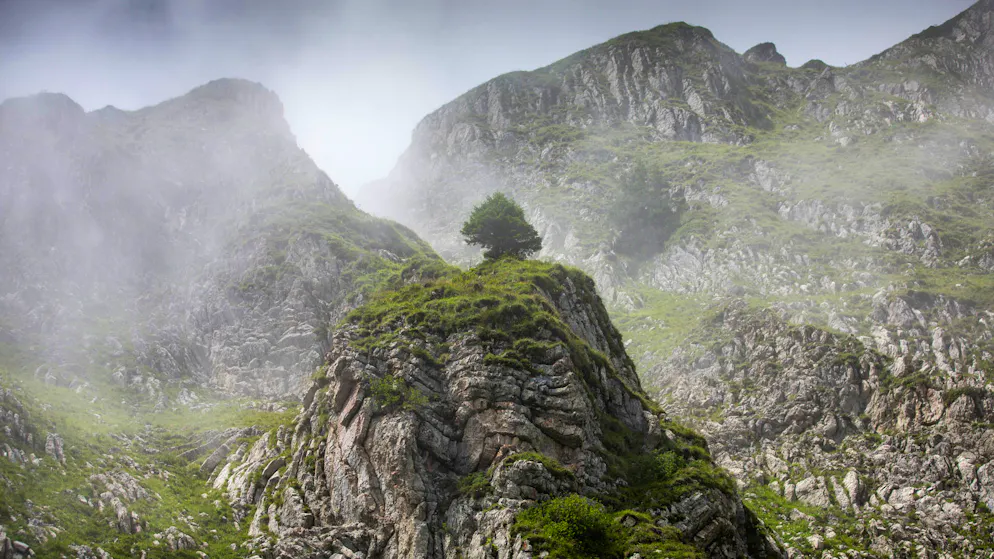 Wandern mit Albert Rösti. Trotz anfänglichem Wetterglück zieht während der Wanderung Nebel auf.