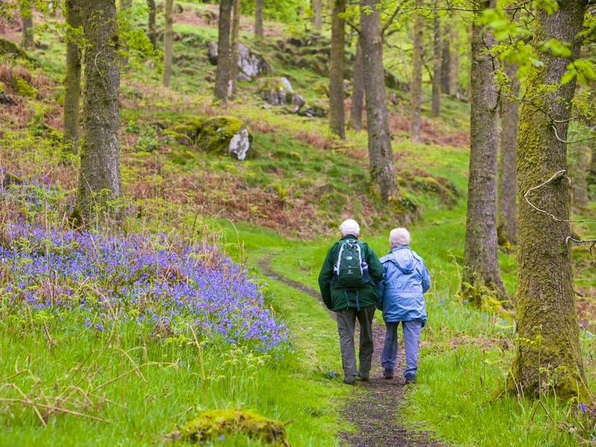Lâcher prise Sons de la nature ou applis de méditation pour mieux se détendre? blue News