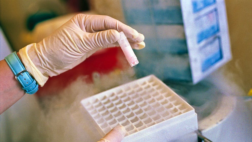 CryoSave, azienda svizzera attiva nella conservazione di cellule staminali ricavate da cordoni ombelicali, è nel mirino delle autorità elvetiche (foto simbolica)