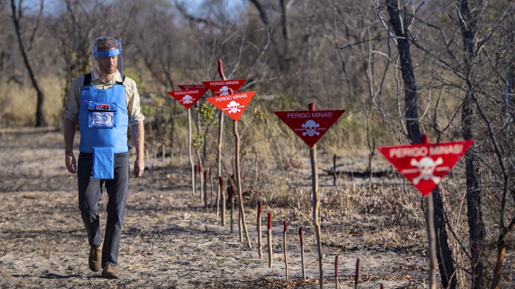 Dans un champ de mines. Harry sur les pas de sa mère
