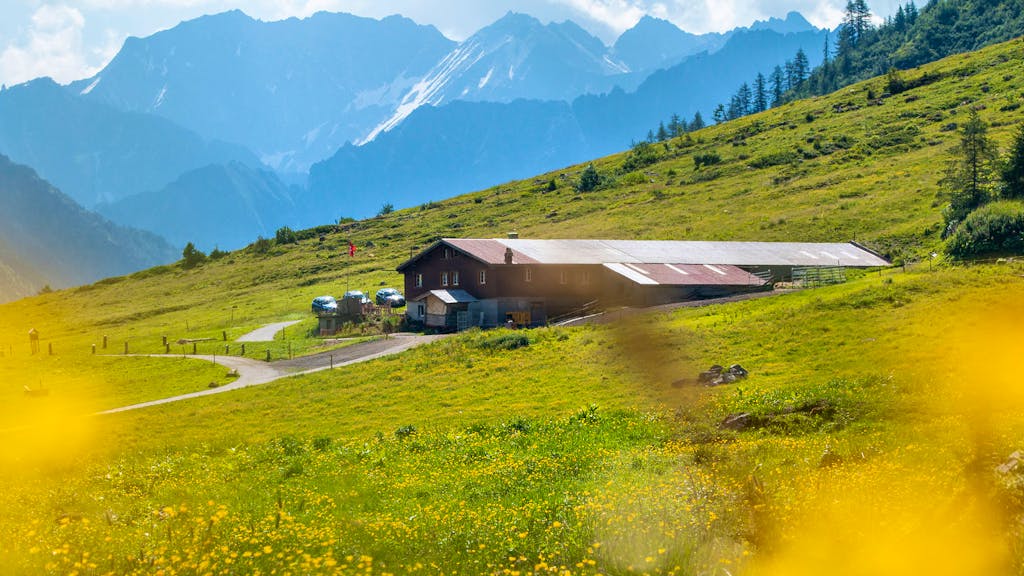 Hilfe auf dem Berg. Vom Kampf der Schweizer Bergbauern gegen das Unkraut
