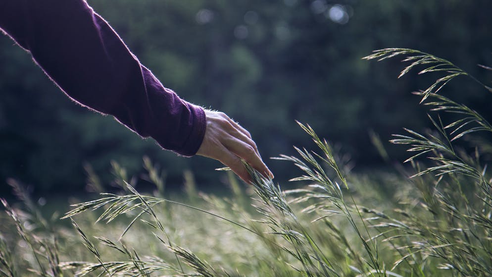 Erinnerung an 2020 – das Grosse WEF-ABC. N: Nachhaltigkeit, die. Darauf möchte WEF-Gründer Klaus Schwab setzen. Allerdings ist schwer vorstellbar, wie N. gelebt werden soll, wenn viele Staatsoberhäupter mit dem eigenen Flieger anreisen.
