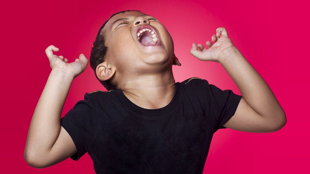 Erinnerung an 2020 – das Grosse WEF-ABC. R: Rage, die. Mutmassliche Emotion von WEF-Gründer Klaus Schwab, der für das 50. Jubiläum des WEF mit dem Schweizer Pass liebäugelte. Bisher vergeblich.