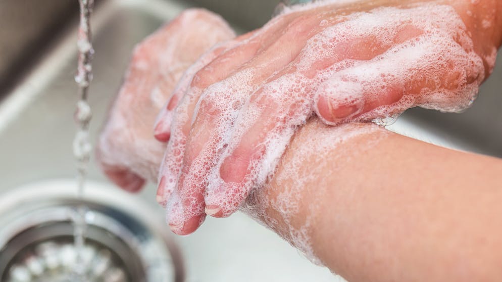 Wissenswertes über Viren. Vor einer «echten» Grippe schützt eine Impfung, die jährlich aufgefrischt werden muss. Wer sich darüber hinaus regelmässig gründlich die Hände mit Wasser und Seife wäscht und den Kontakt zu Menschen mit Erkältungssymptomen meidet, hat gute Chancen, gesund durch die Grippe- und «Pfnüselsaison» zu kommen.