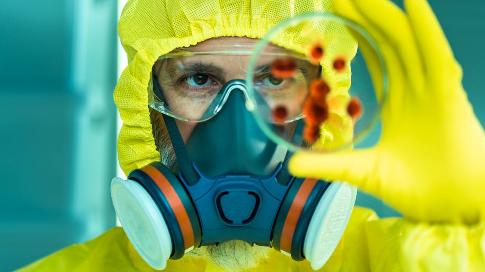 Wissenswertes über Viren. Im Zusammenhang mit kursierenden Viruserkrankungen wie der Grippe (Influenza) oder SARS- beziehungsweise Coronavirus-Infektionen, tauchen die Begriffe Ausbruch, Epidemie oder Pandemie auf.