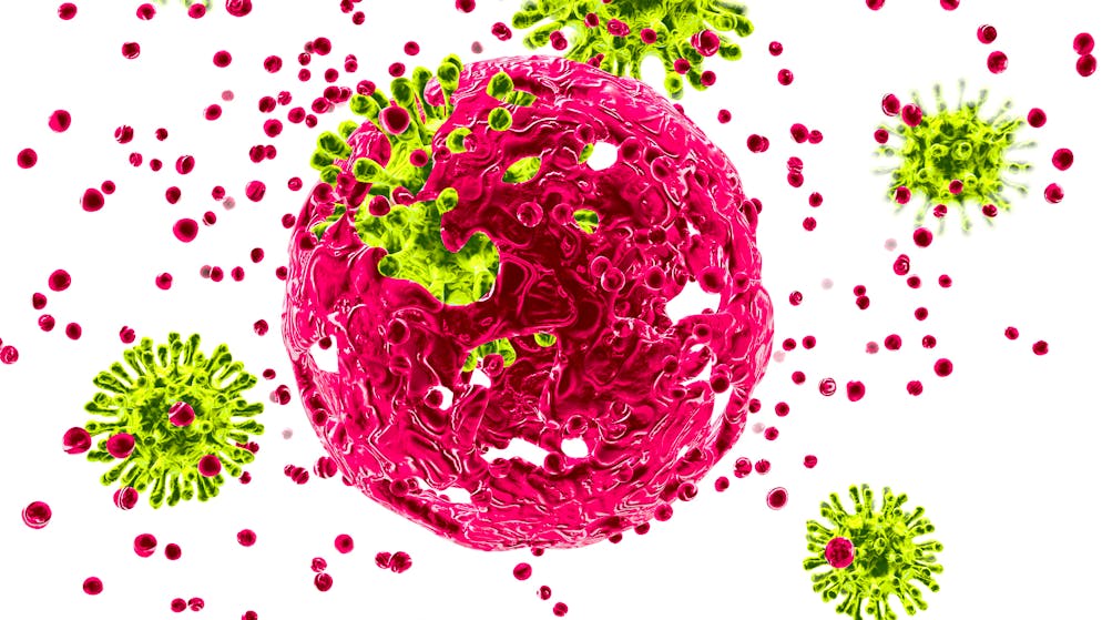 Wissenswertes über Viren. So unterscheiden sich Hautzellen von Zellen im Gehirn oder der Lunge. Passen die Aussenstrukturen des (für uns schädlichen) Virus und der Zelle zueinander, kann das Virus an die Zelle andocken (Adsorptionsphase).