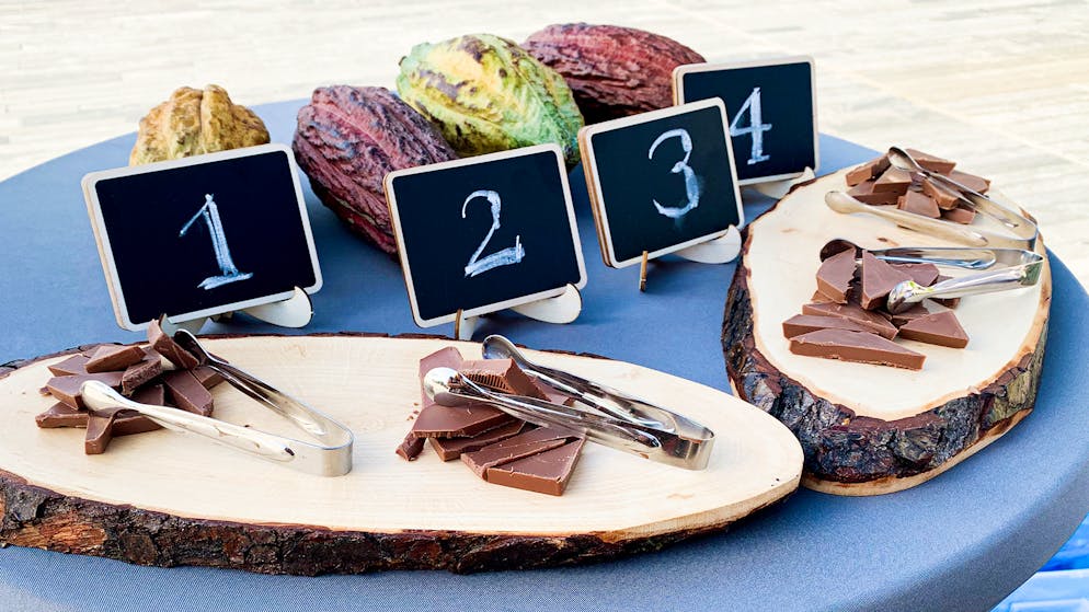 Nicole Berchtold in «Was kostet die Schweiz»?. Auf dem Zürcher Sechseläutenplatz gibt es eine Verkostung von verschiedene Schokoladen aus vier verschiedenen Preiskategorien, schmeckt man den Unterschied?