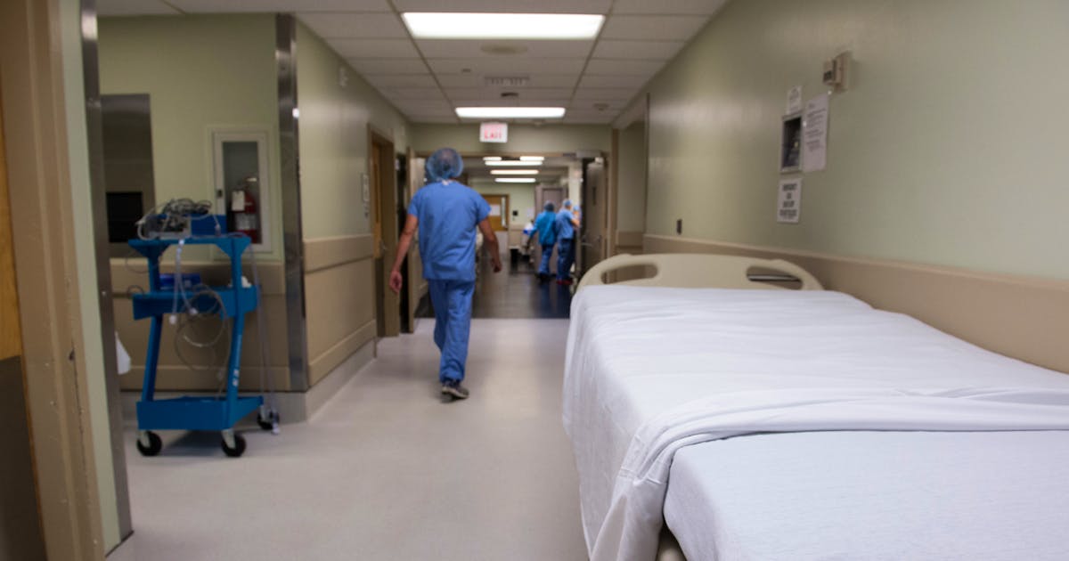 Transplantation Bakterien Grosstes Problem