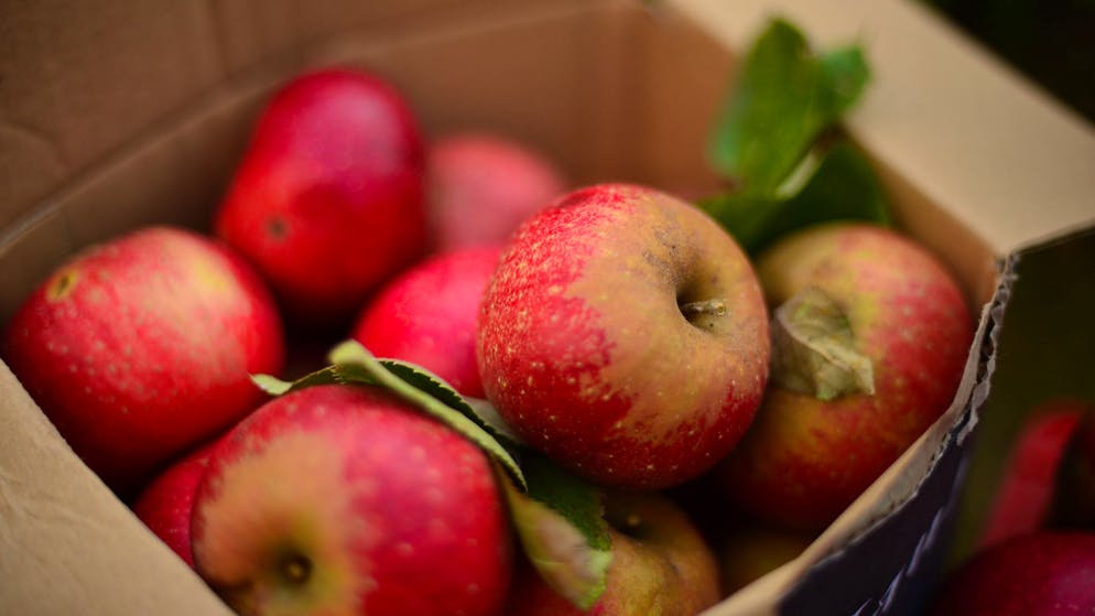 Äpfel gehören nämlich zu den sogenannten klimakterischen Arten, die auch nach der Ernte noch weiterreifen.