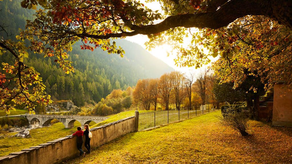 Endlich ist Herbst!. Das sind die schönsten Kastanienwege der Schweiz