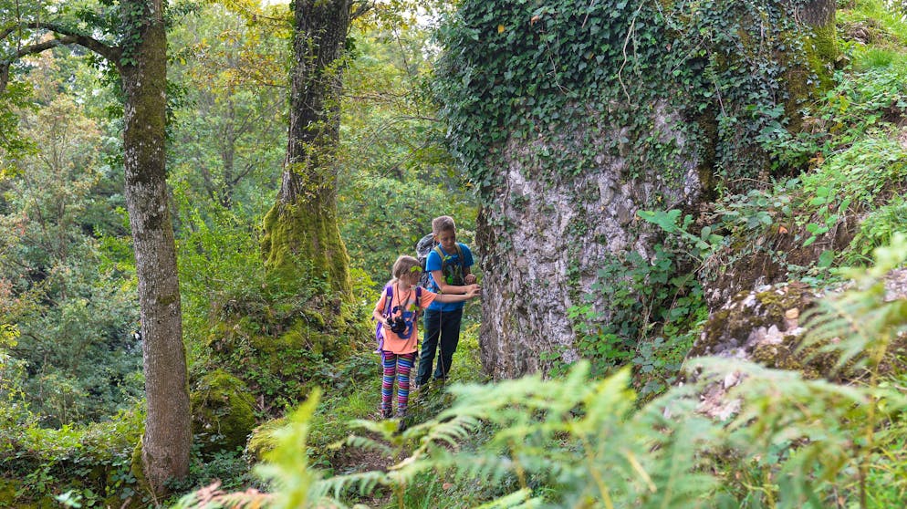 Spielerisch die Natur hautnah erleben: Der Waldstätterweg ist Teil des Chestene-Weges.