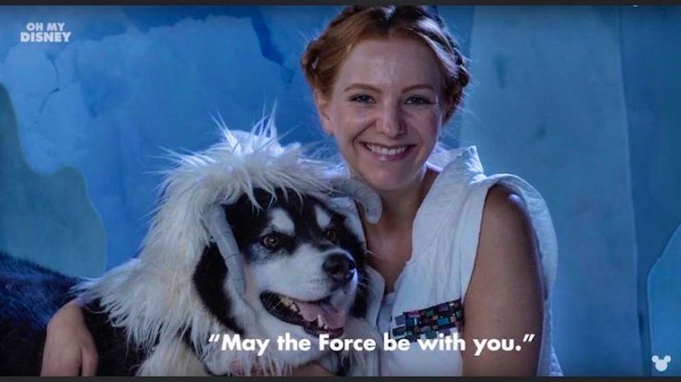 Schweizer in L.A.: Debby Gerber. Manchmal wird auch ihr Husky-Malamute Rocky mit-gecasted: zum Beispiel als «Star Wars»-Fan in einem Werbespot.