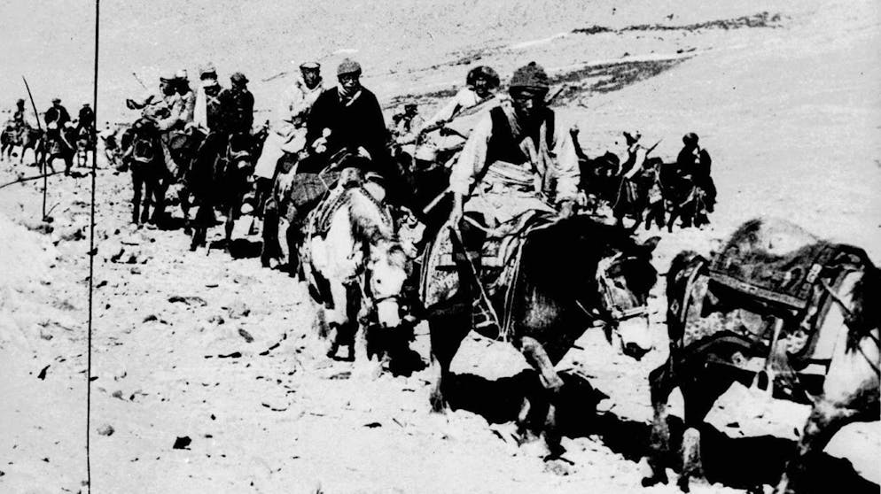 Im März 1959 floh der Dalai Lama mit seinem Gefolge nach Indien.