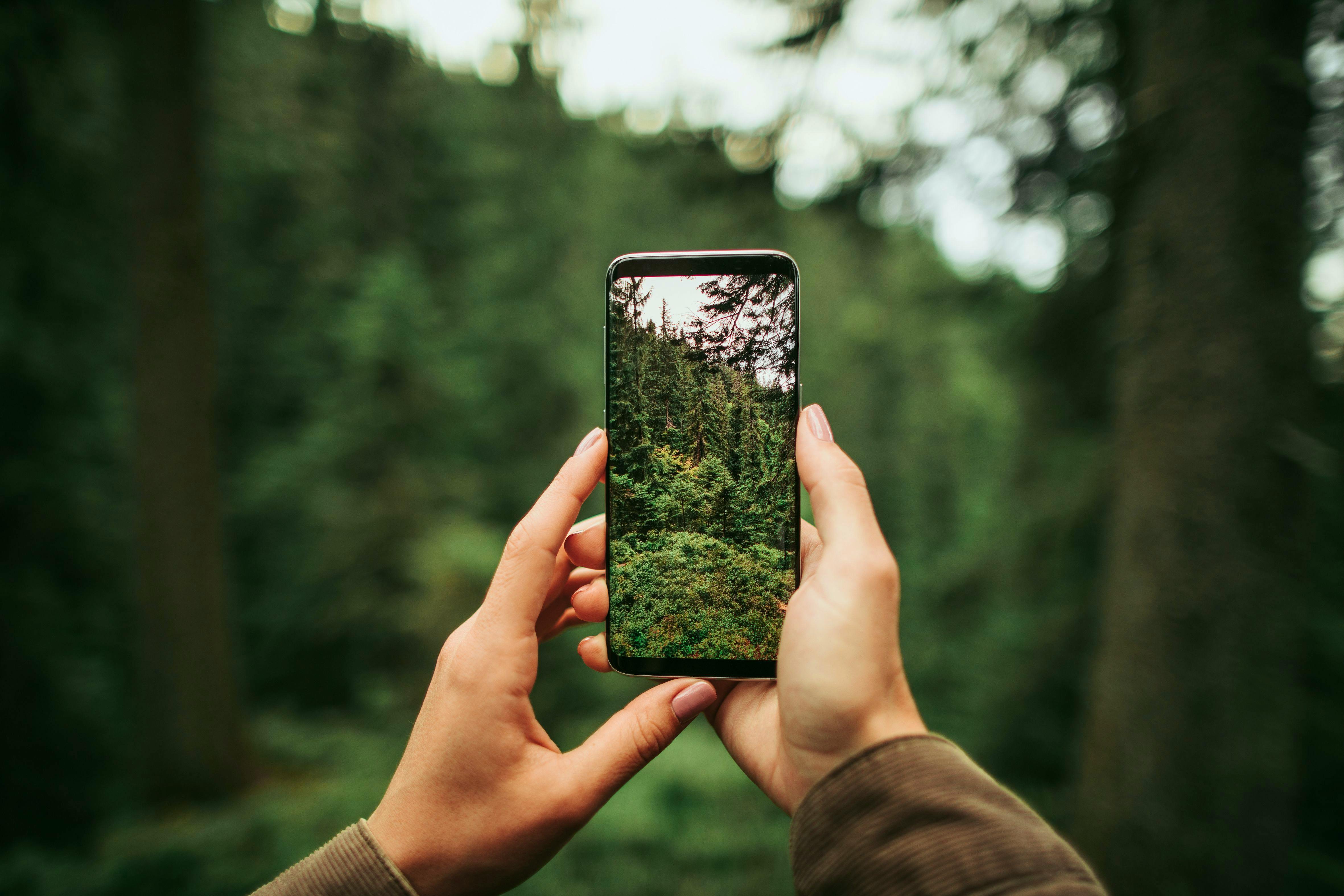 Swisscom Blog Durabilité. L’impact D’un Smartphone Sur L’environnement ...