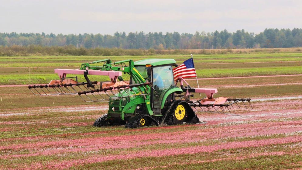 Cranberry-Ernte in Wisconsin: Der US-Bundesstaat im Mittleren Westen ist der grösste Produzent des Landes.