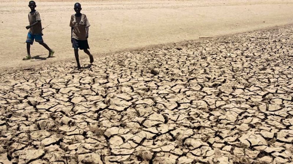 Dürre und Hunger in Kenia: Der Klimawandel ist laut Rotem Kreuz eine grössere Bedrohung als die Coronapandemie. (Archivbild)