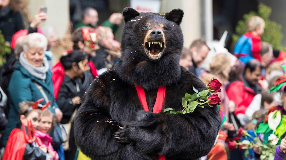Der Berner Fasnachtsbär schläft eine Runde weiter: die Fasnacht 2021 in der Bundesstadt ist aufgrund der Coronasituation abgesagt worden.