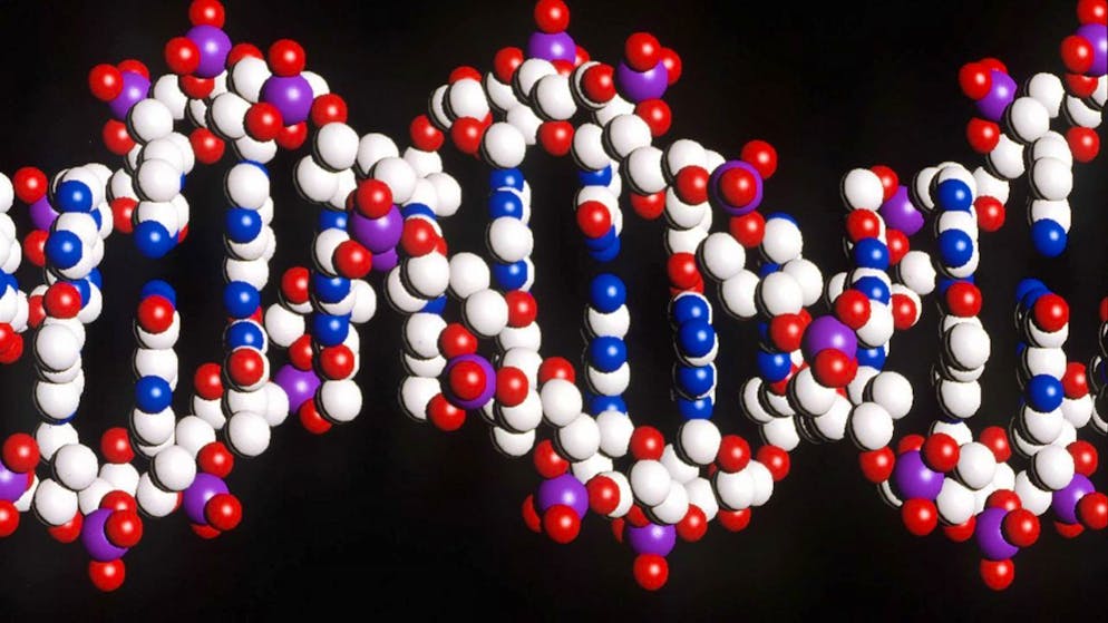 ETH-Forschende haben mittels DNA-Synthese eine riesengrosse echte Zufallszahl generiert. (Symbolbild)