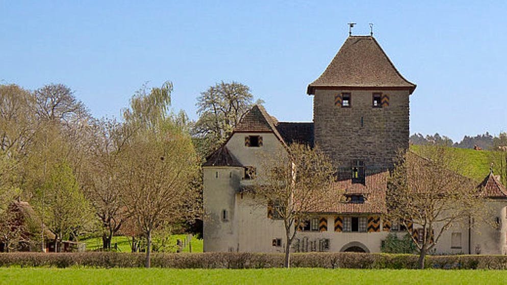 Das mittelalterliche Schloss Hegi soll restauriert werden. (Archivbild)