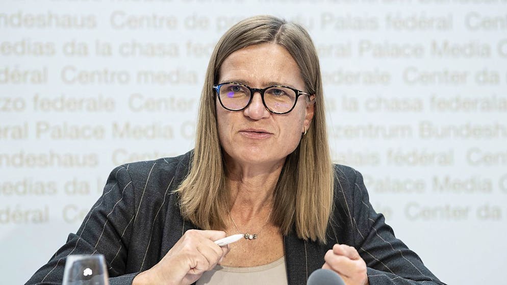 Die Situation sei trotz flächerer Kurve besorgniserregend: Virginie Masserey, Leiterin der Sektion Infektionskontrolle im Bundesamt für Gesundheit.