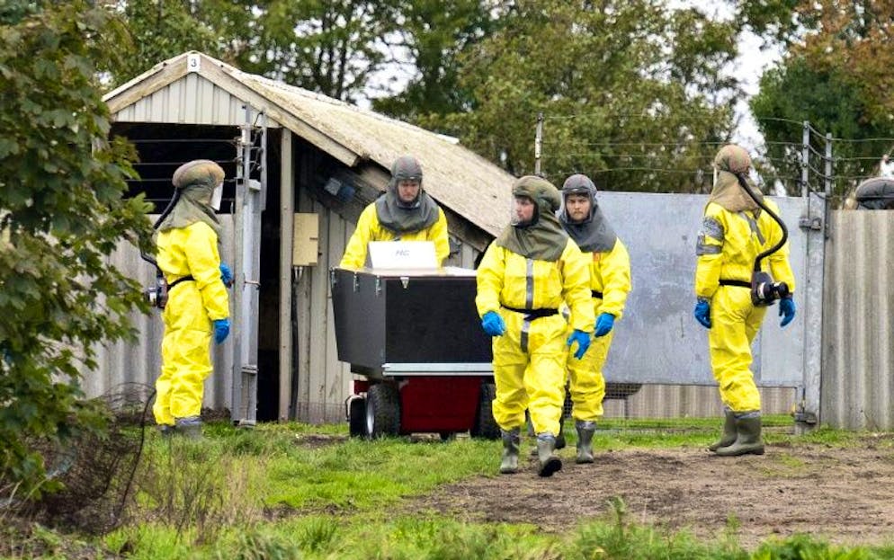 Des employés de l'administration vétérinaire danoise arrivent dans une ferme d'élevage pour procéder à l'abattage de visons, le 8 octobre 2020 à Gjol