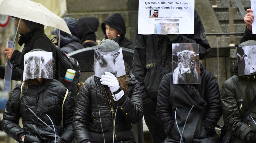 Des personnes vetuent en noir et avec un masque de vache, chevre et brebis sont assises sous la pluie lors d'une mise en scene artistique et politique "They are mothers too" en denonciation de l'esclavage des vaches, chevres et brebis utilisees pour leurs secretions feminines par l'industrie du lait organisee par l'antenne suisse de l'association 269Life Liberation Animale, ce samedi, 4 fevrier 2017, a Lausanne. (KEYSTONE/Laurent Gillieron)