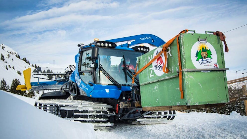 Ein Pistenbully transportierte Jambolina auf den letzten Metern zum Arosa Bärenland.
