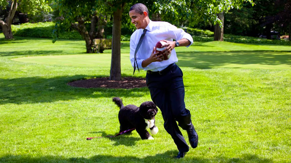 Barack Obama vergnügt sich 2009 mit Familienhund Bo auf dem Rasen vor dem Weissen Haus. 