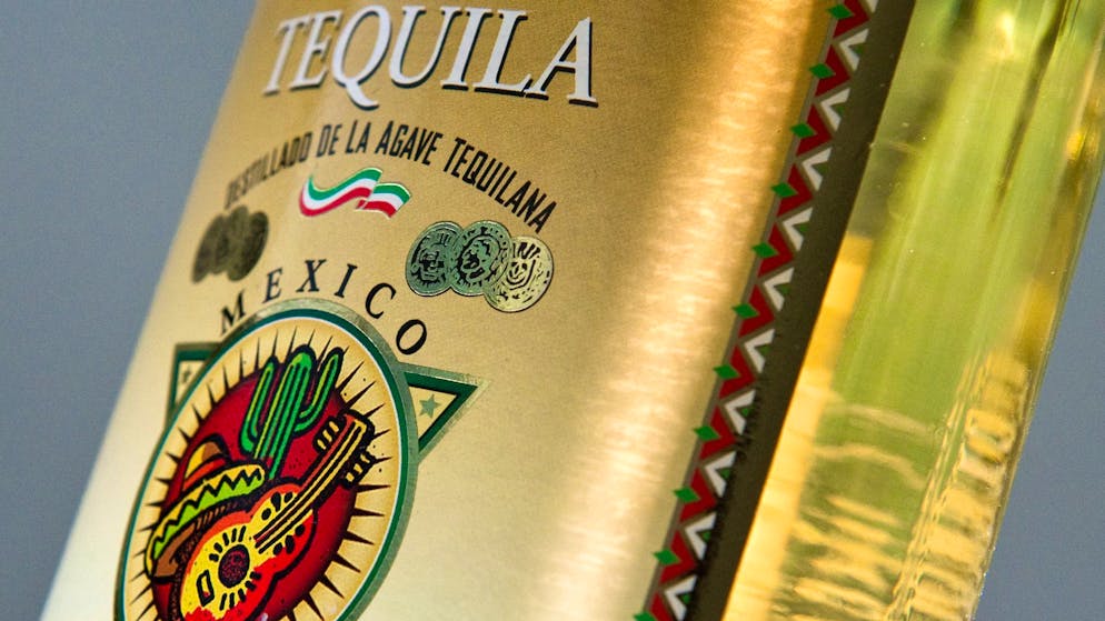 Mindestens sieben Jahre müssen Agaven wachsen, bevor sie für den Tequila verwendet werden können.