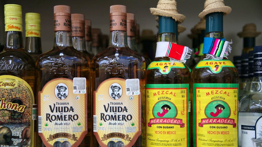 Der Stoff aus der Agave: Zum Brennen von Tequila und Mezcal werden 40 von über 300 verschiedene Agavenarten benutzt.